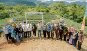 Desa Jangang-Jangang Jadi Bukti Keberhasilan Program Hortikultura Sulsel