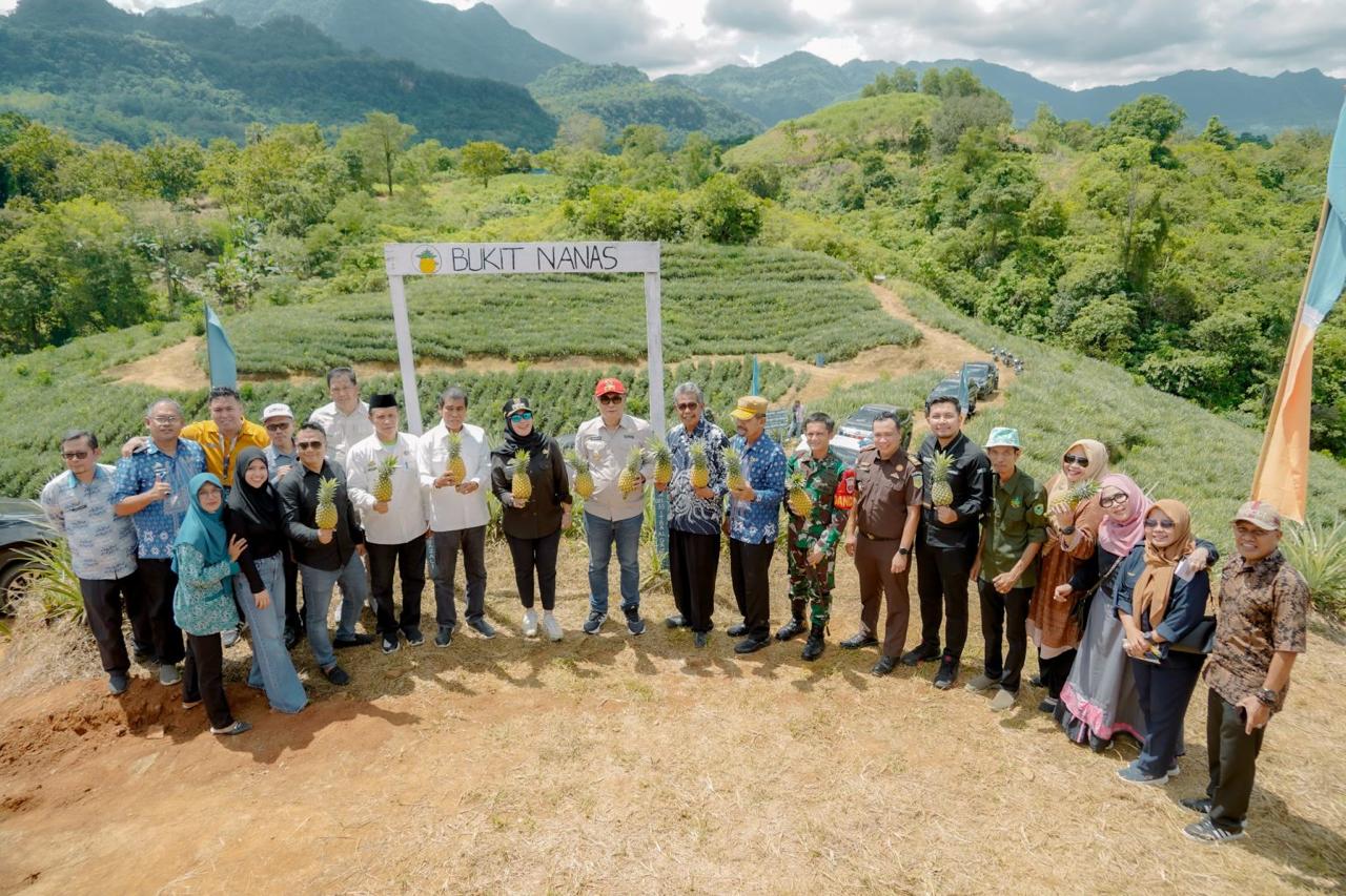 Desa Jangang-Jangang Jadi Bukti Keberhasilan Program Hortikultura Sulsel